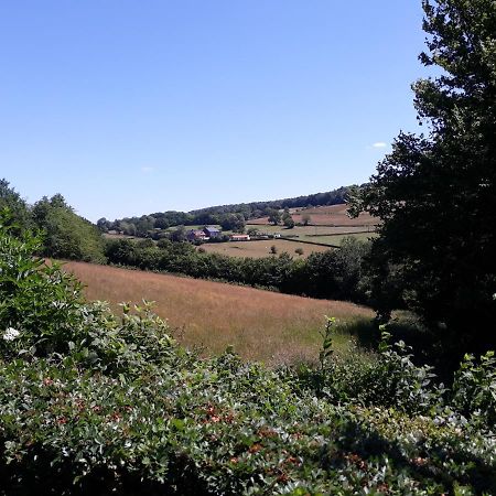 Studio Au Jardin Fleuri Verviers Kültér fotó