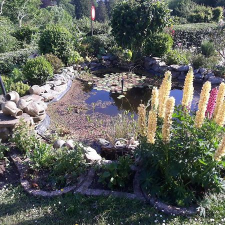 Studio Au Jardin Fleuri Verviers Kültér fotó