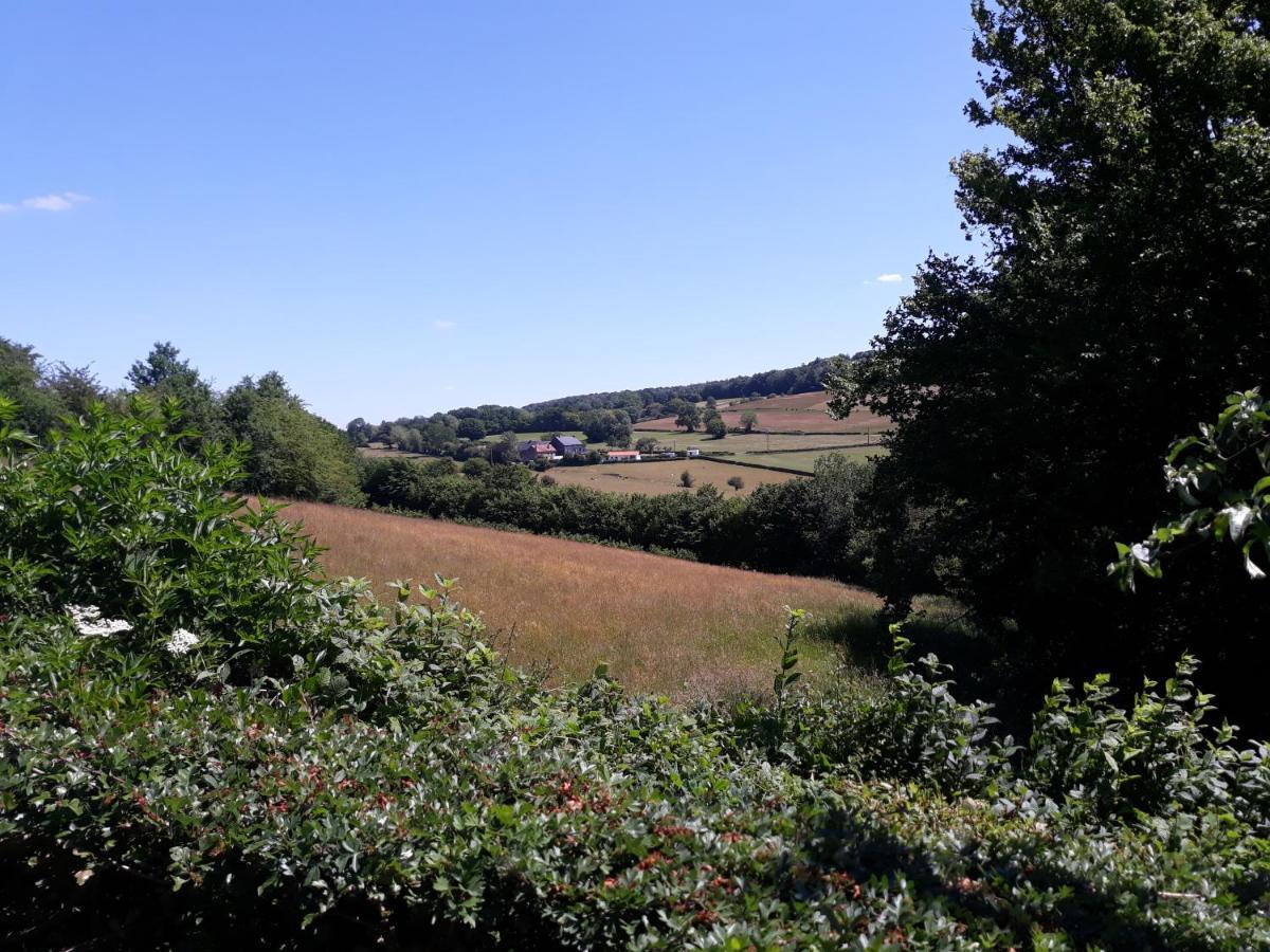 Studio Au Jardin Fleuri Verviers Kültér fotó