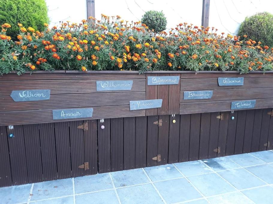Studio Au Jardin Fleuri Verviers Kültér fotó